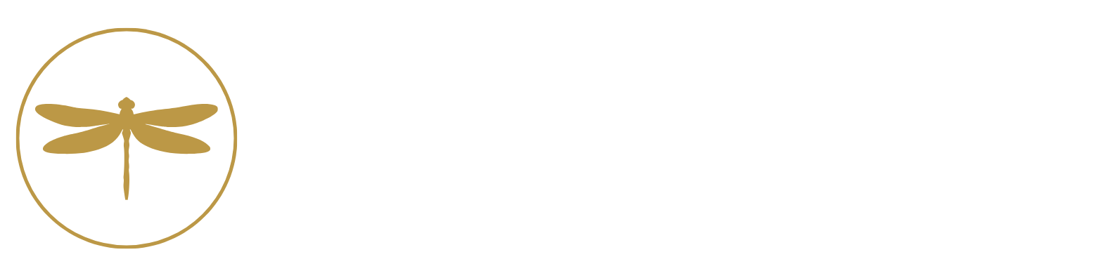 Dragonfly Financial